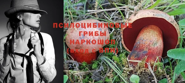 прущий лед Алзамай