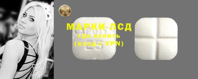 трава Сосновый Бор