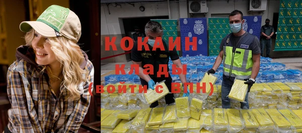 прущий лед Алзамай