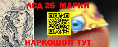 apvp Кингисепп