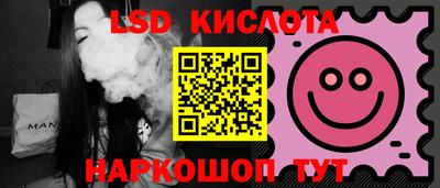 apvp Кингисепп