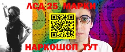 apvp Кингисепп