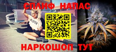 apvp Кингисепп