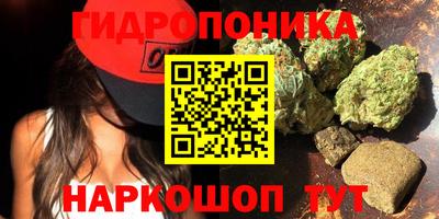 apvp Кингисепп