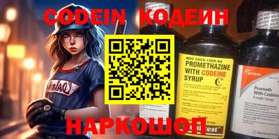 apvp Кингисепп