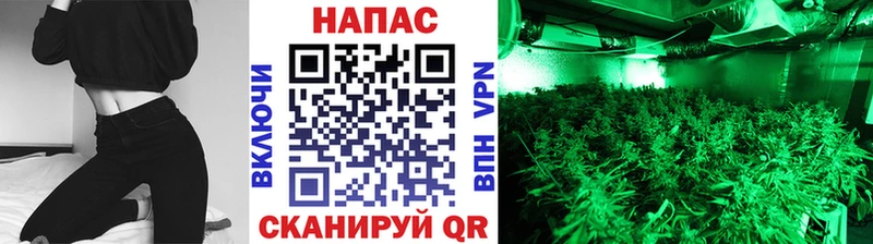 Марихуана Bruce Banner  где продают   Котельники 